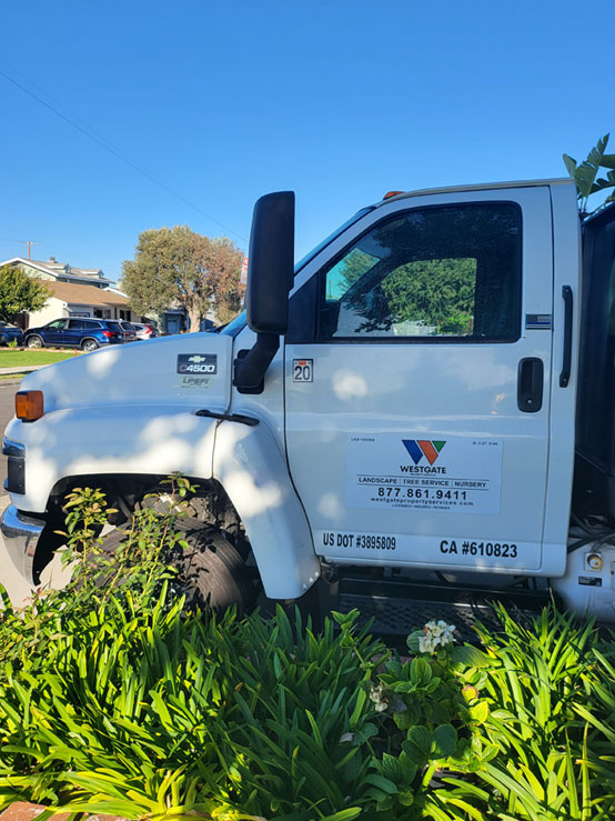 Westgate Property Services