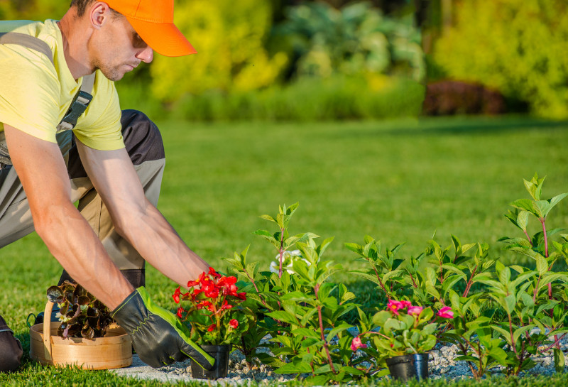 Landscaping